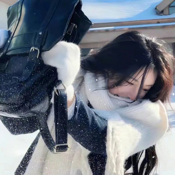 但愿人长久